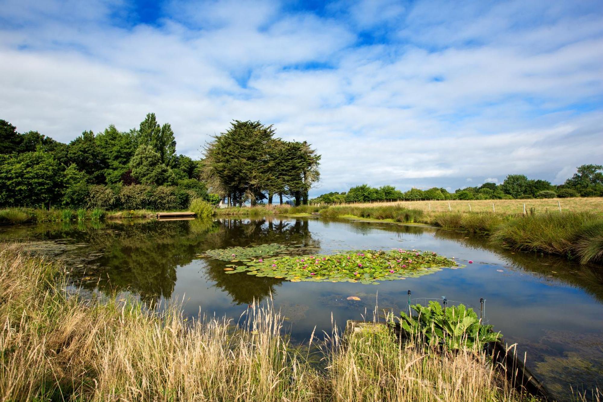 Eco-Domaine La Fontaine - Hotel-Spa Pornic Eksteriør billede